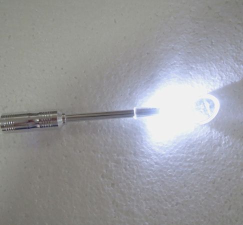 偉榮無涂層拔牙鉗