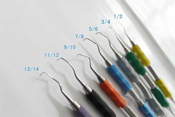 偉榮無涂層拔牙鉗