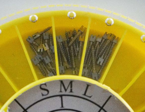 遼陽(yáng)紅蠟片