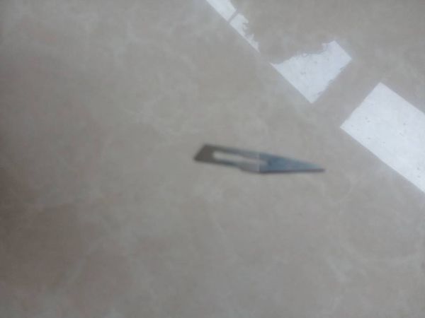 偉榮無涂層拔牙鉗